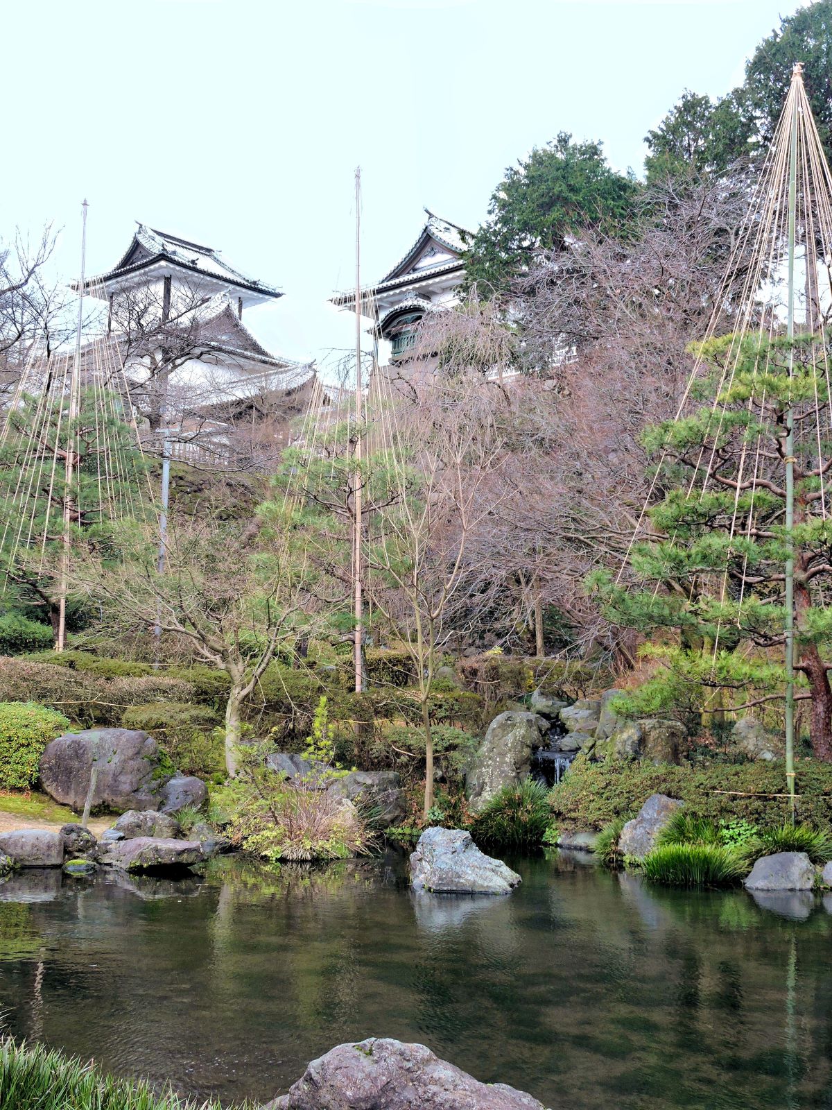 pine tree rock pond with Japanese castle turrets