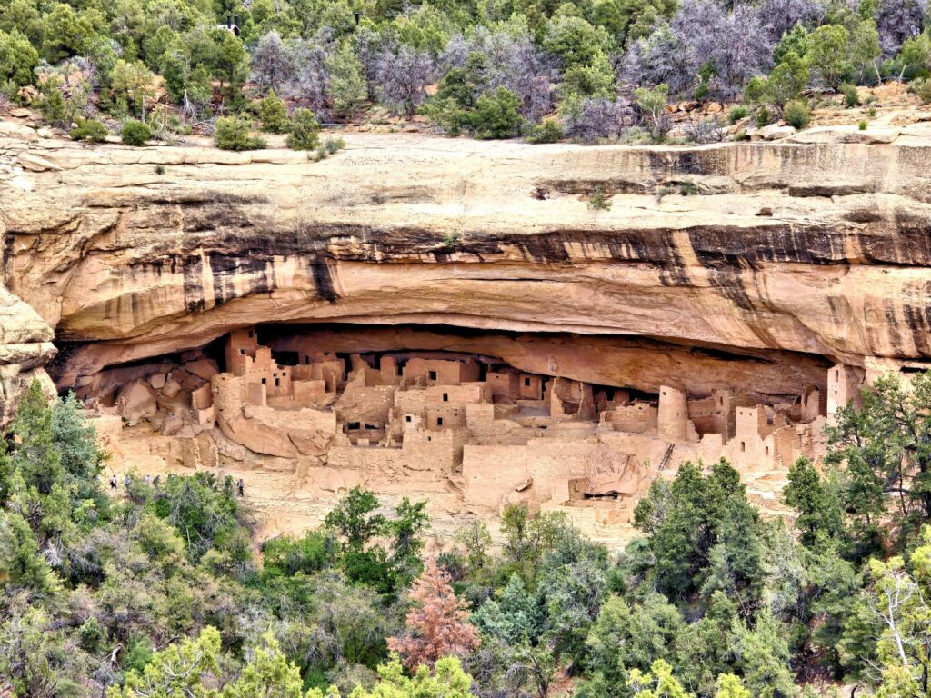 cliff palace view