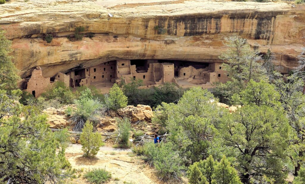 spruce tree house cliff dwellings from viewpoint